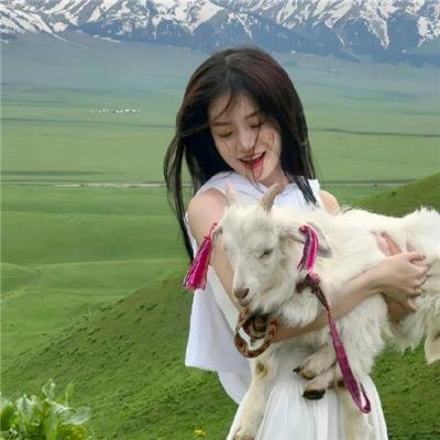 母牛总动员